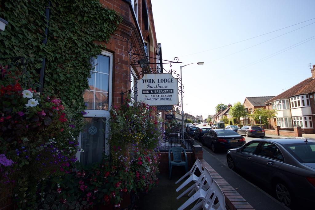 York Lodge Guesthouse Exteriör bild